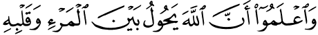 Quran 8-24b