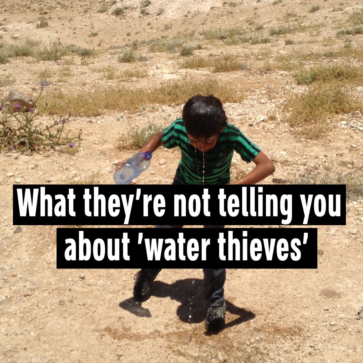not_water-thieves