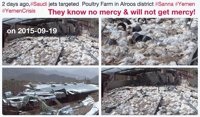 Saud Bombing Yemen