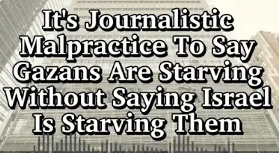 wrong-to-say-gazans-are-starving-but-israel-is-starving-them