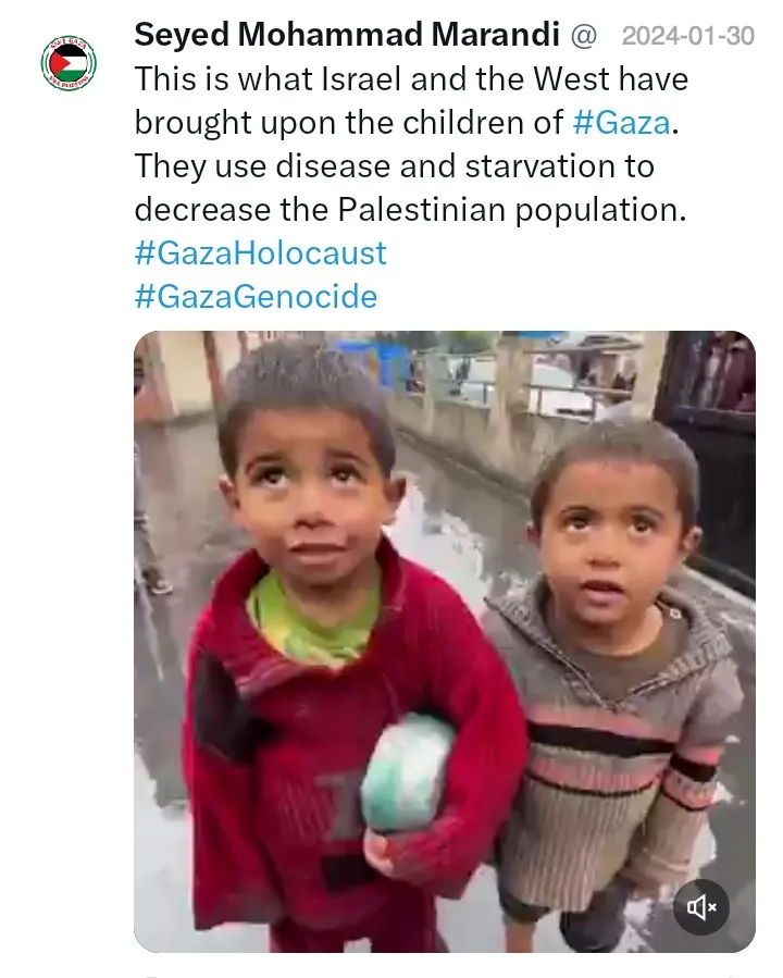 hunger-2-kids-gaza