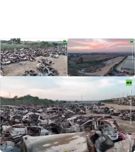 destroyed-Nova-festival-cars